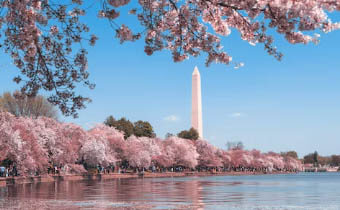 sightseeing charter bus rental in washington dc