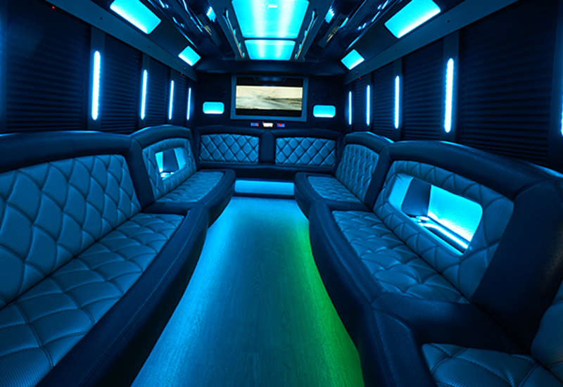 30 passenger party bus